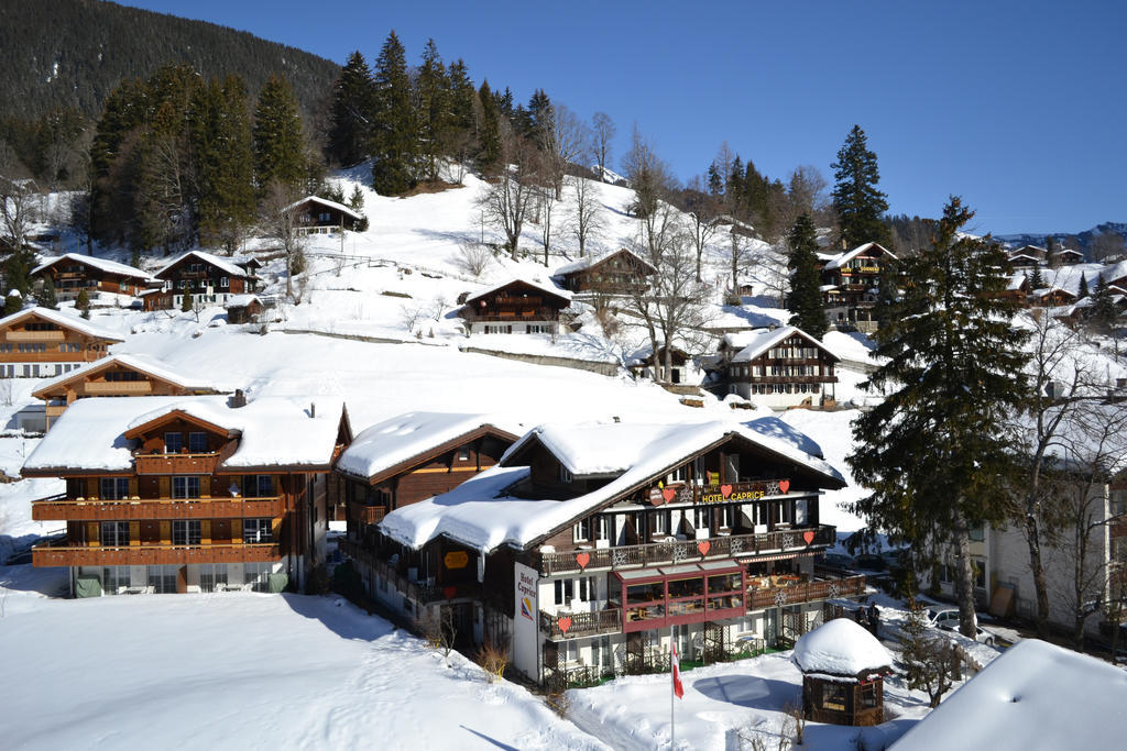 Apartment Residence Caprice Grindelwald Cameră foto