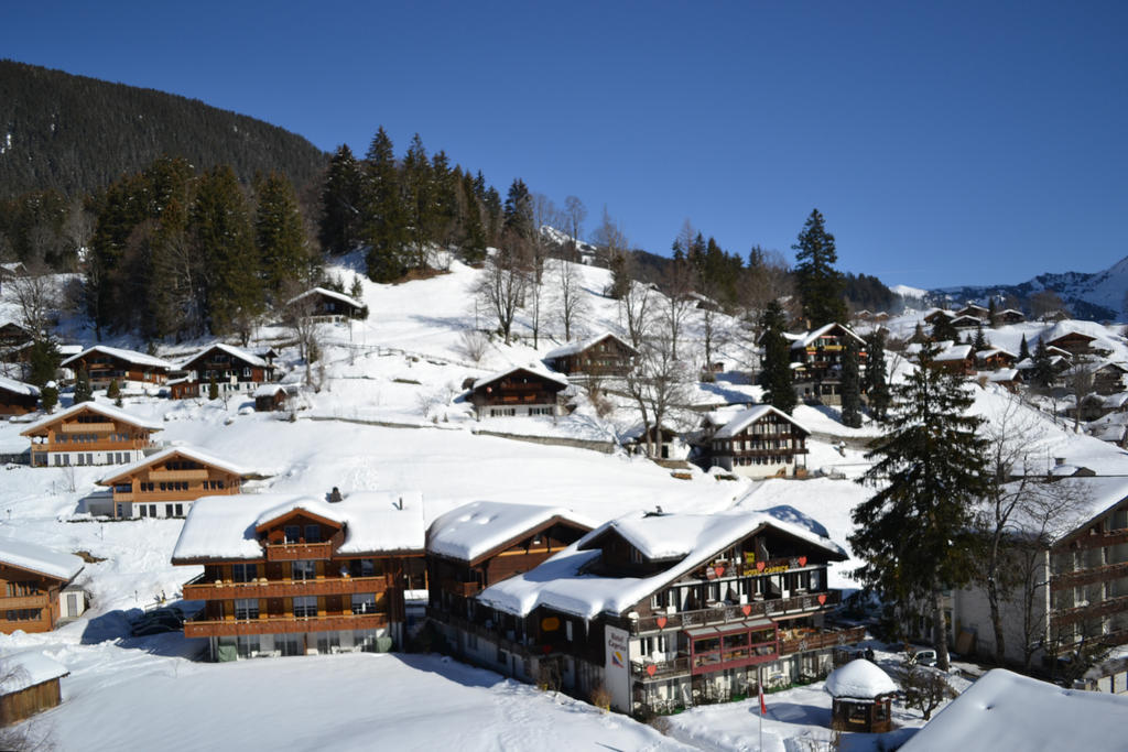 Apartment Residence Caprice Grindelwald Cameră foto